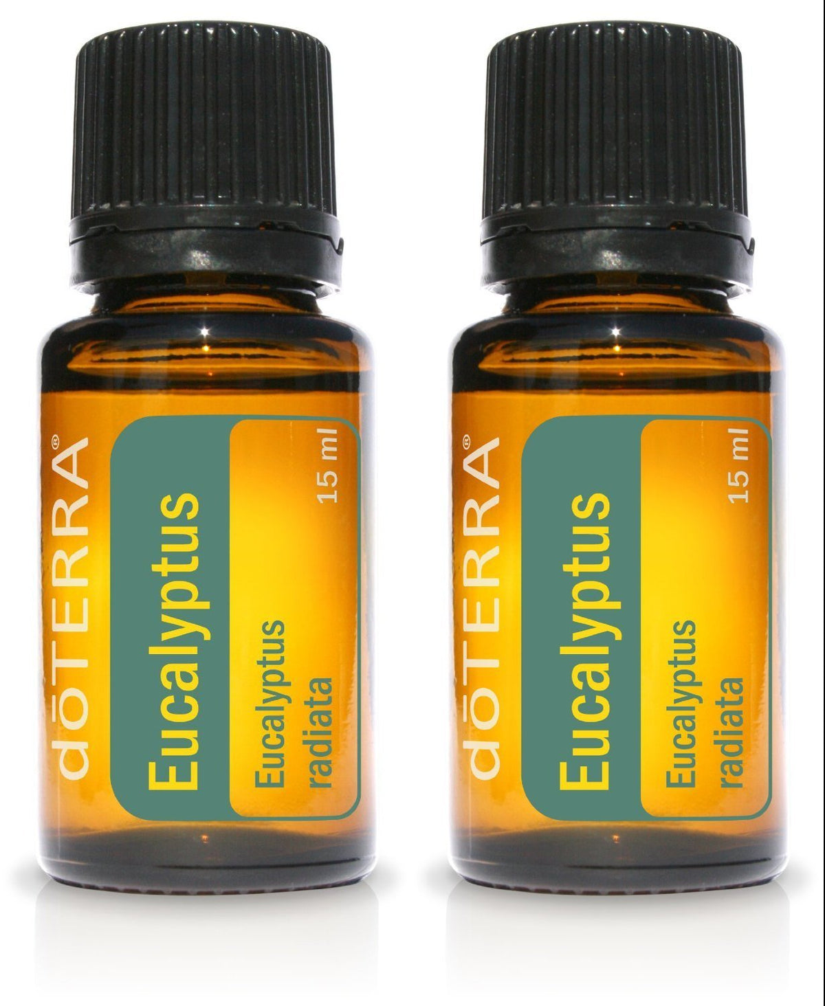 doTERRA Eucalyptus Radiata bottle close-up promoting clear breathing.