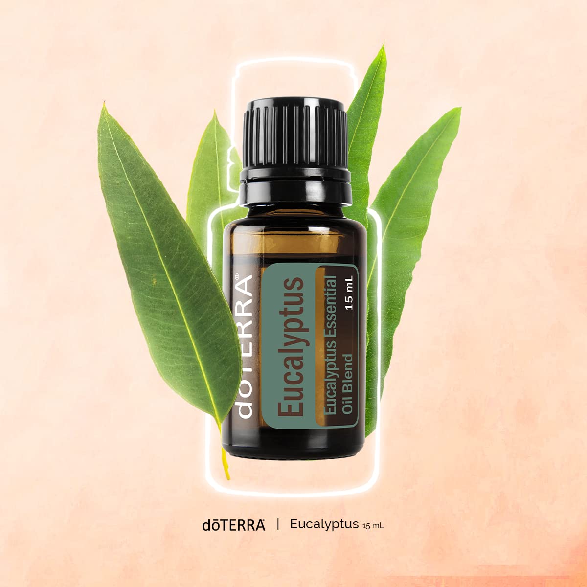 doTERRA Eucalyptus Radiata diffusing mist for air freshness.