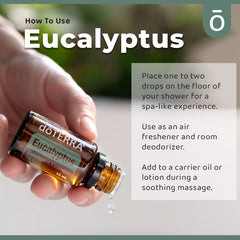 doTERRA Eucalyptus Radiata massage application for soothing muscles.