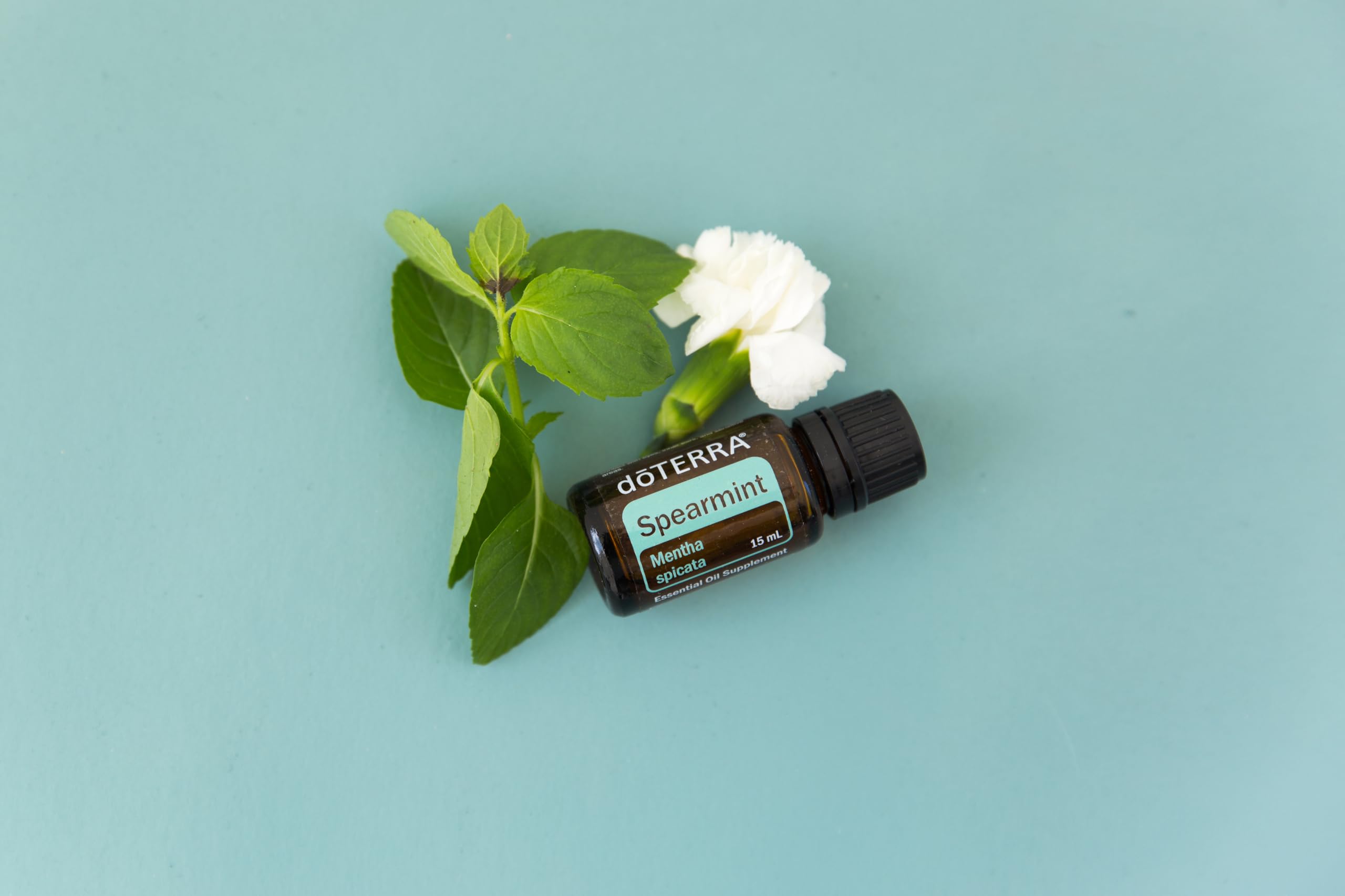 doTERRA Spearmint diffusion scene offers uplifting fragrance for the room.