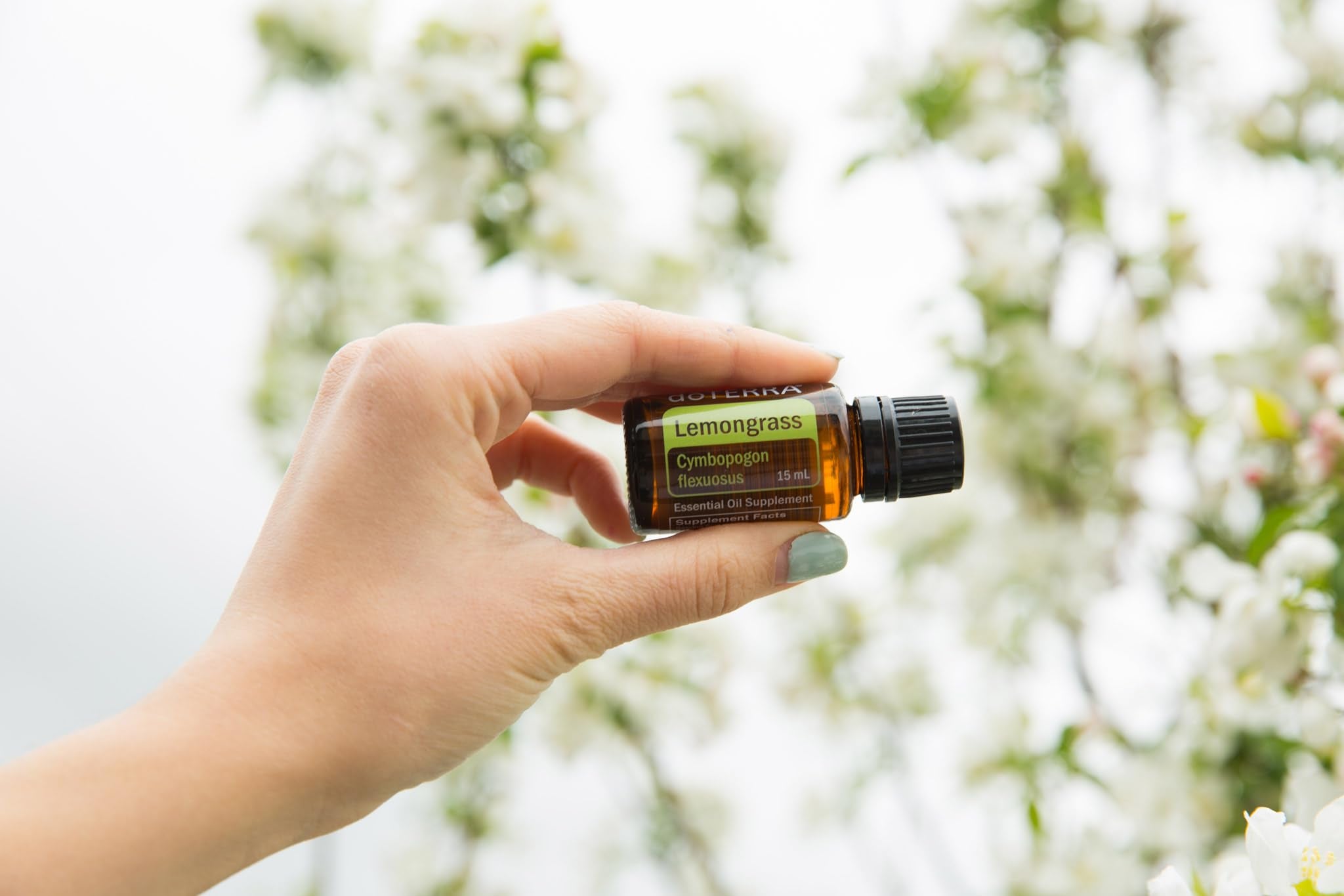 doTERRA Lemongrass oil diffuser emitting bright citrus aroma