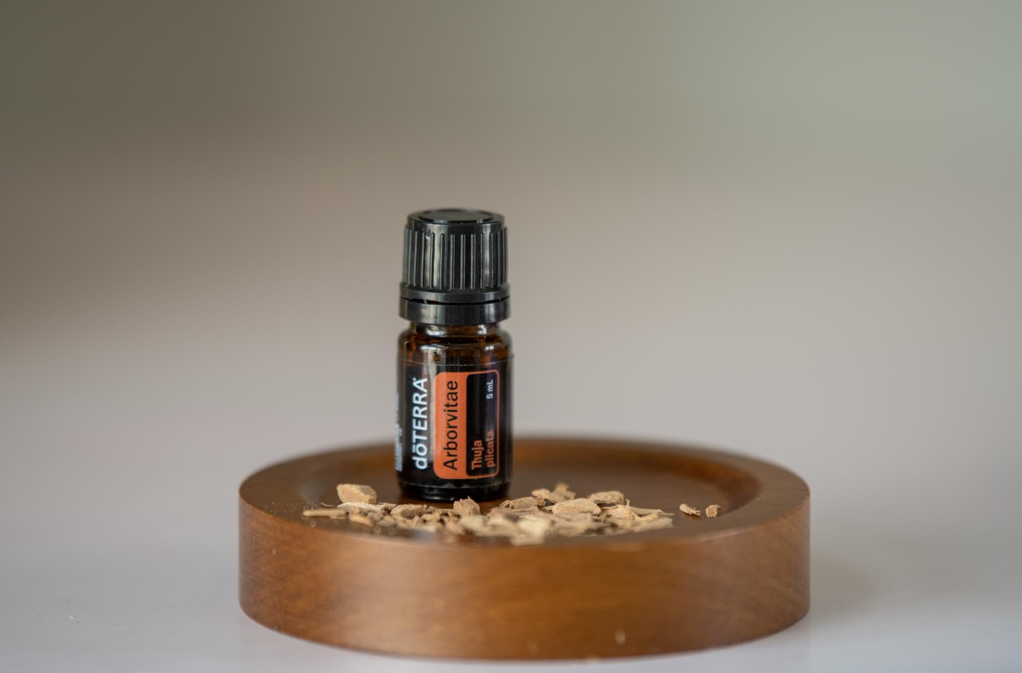 doTERRA Arborvitae diffuser showcasing natural aroma elevating spaces.