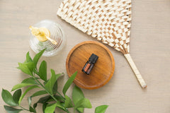 doTERRA Arborvitae oil on wrists or ankles during outdoor activities for calm focus.
