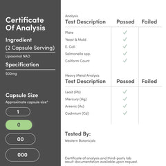 Double Wood Liposomal NAD+ bottle on desk showing clean packaging.