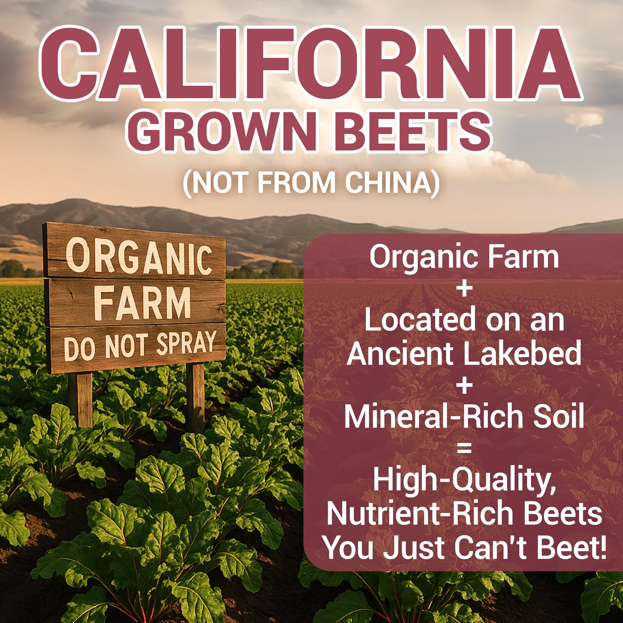 Dr. Berg Beet Powder bottle with label highlighting USDA Organic quality