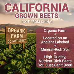 Dr. Berg Beet Powder bottle with label highlighting USDA Organic quality