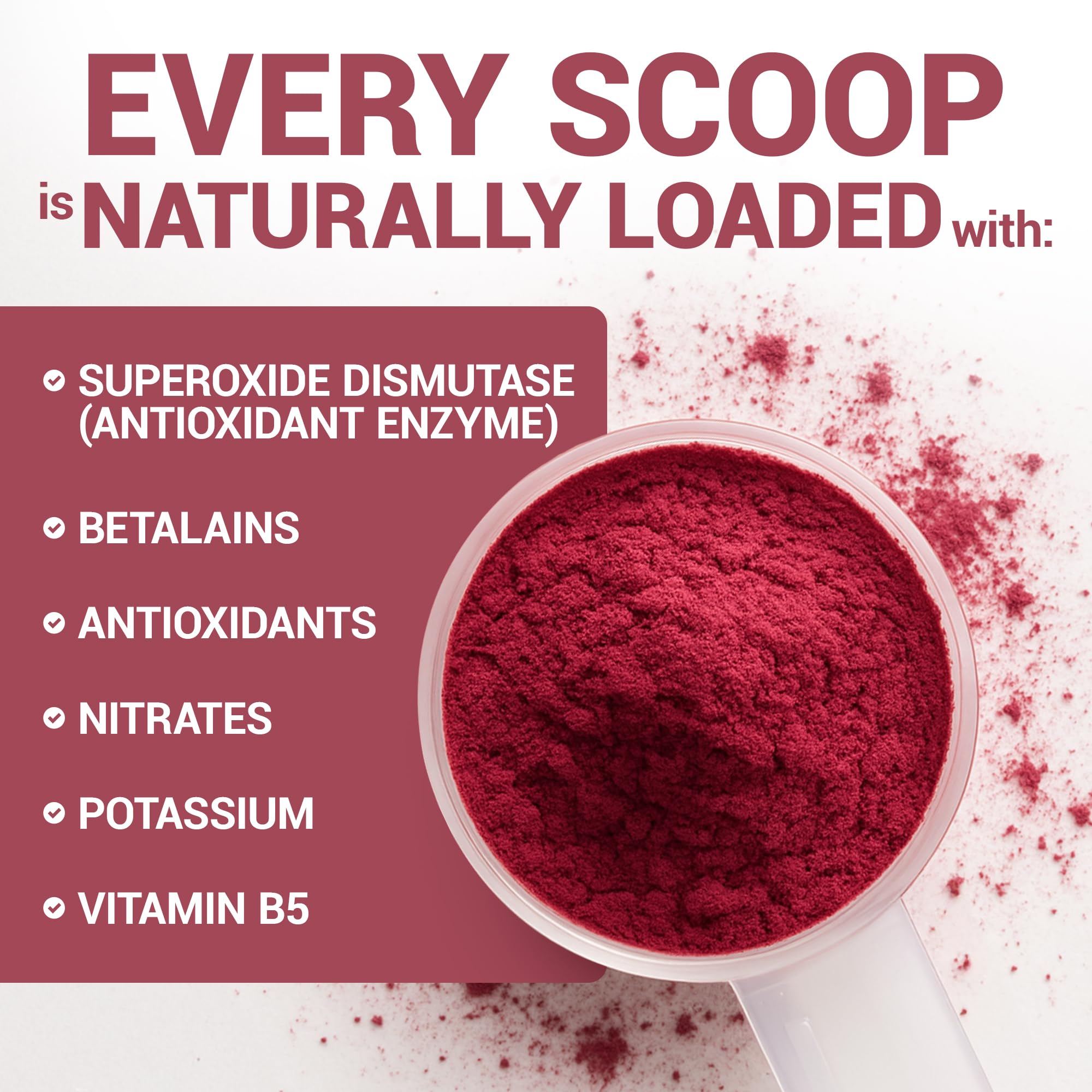 Measuring scoop with beet powder showing fine texture for quick boosts