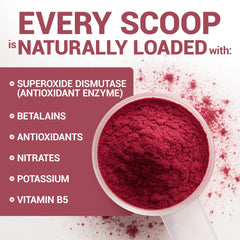 Measuring scoop with beet powder showing fine texture for quick boosts
