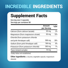 Sugar-free formula highlighted on Dr. Berg Electrolyte Capsules label.