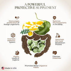 Dr. Clark Green Black Walnut tapioca capsule detail highlights hypoallergenic formula.