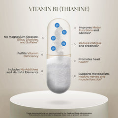 Dr Clark Store Vitamin B1 visual demonstrating energy metabolism support