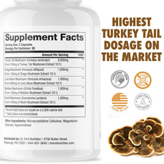 DR. EMIL NUTRITION Lions Mane blend shown for focus and balanced immunity.