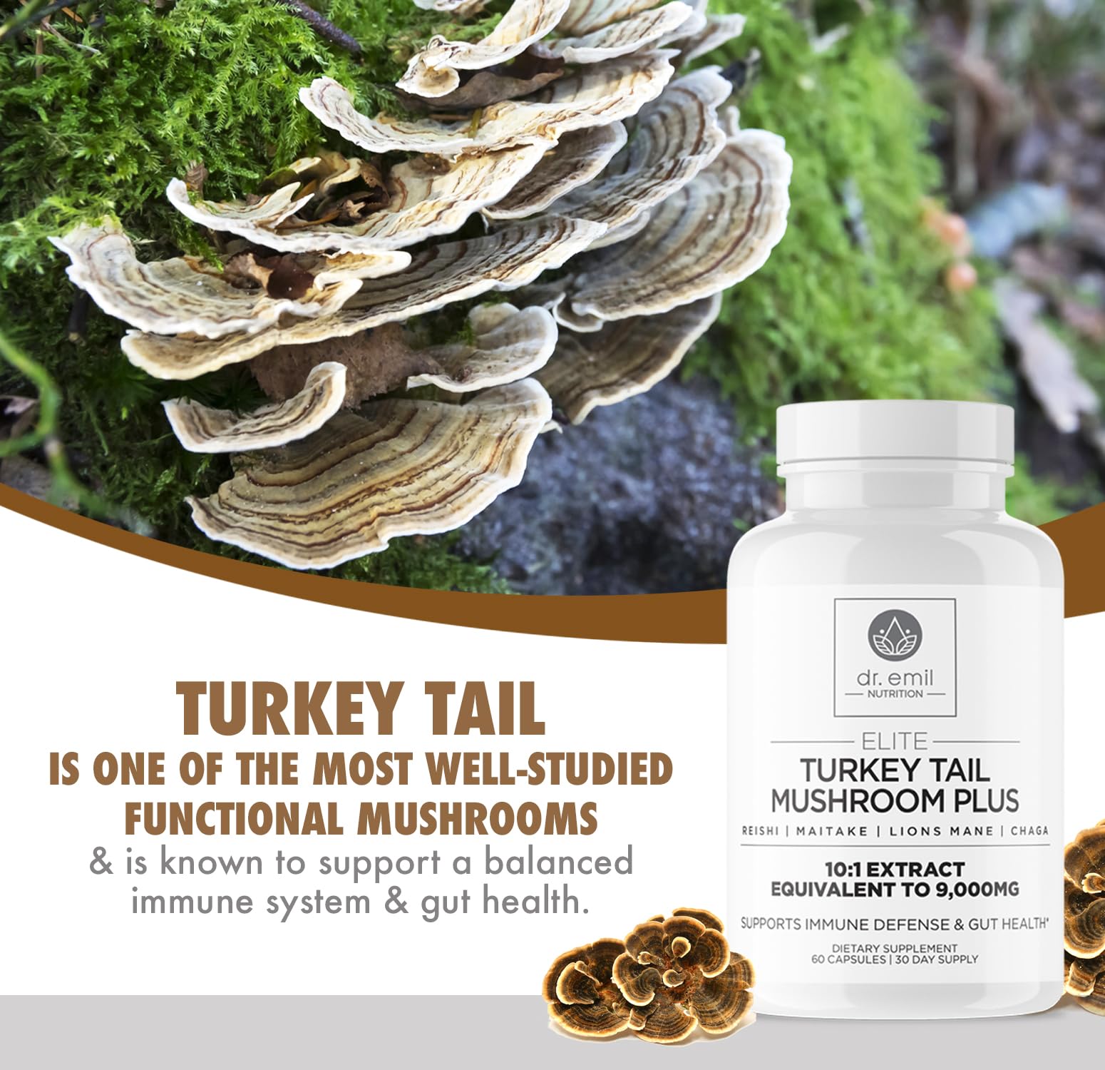 DR. EMIL NUTRITION mushroom-blend graphic highlights five-mushroom synergy.