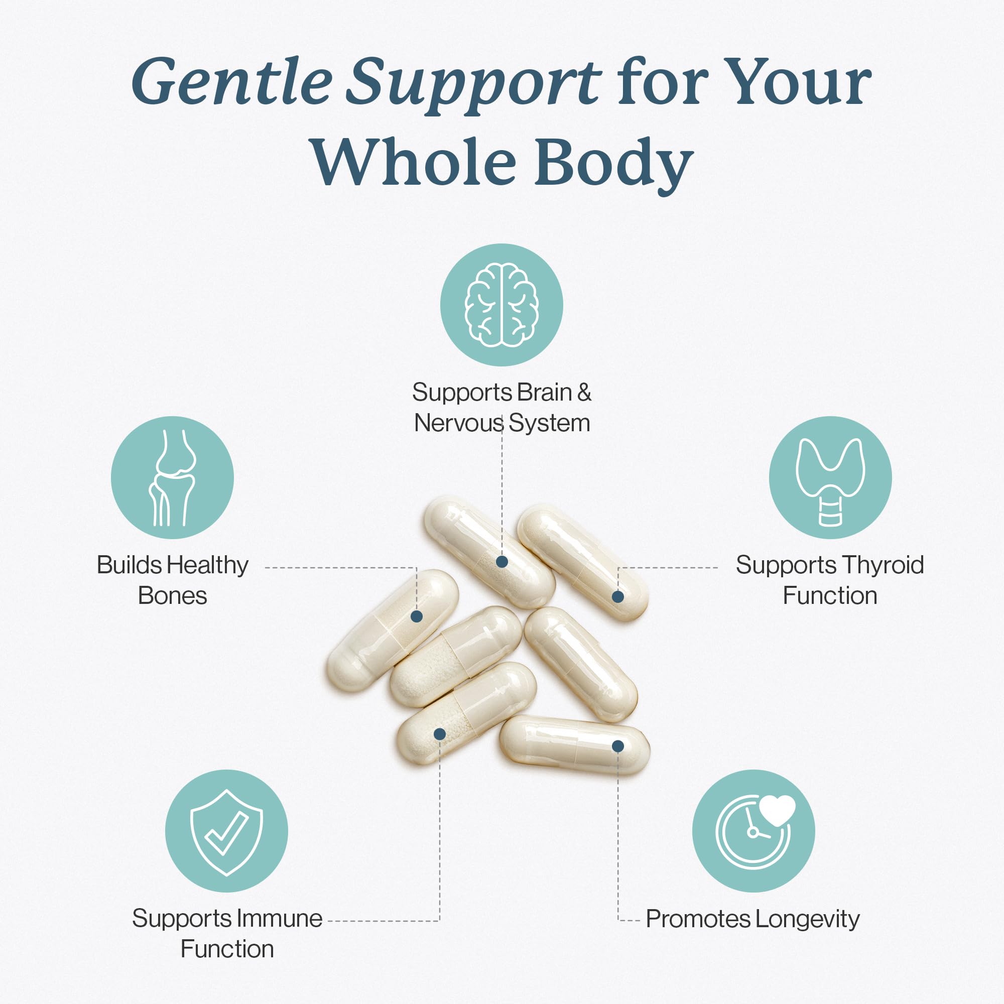 Gentle Care bottle highlighting organic fruit and vegetable blend phytonutrients