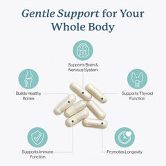 Gentle Care bottle highlighting organic fruit and vegetable blend phytonutrients