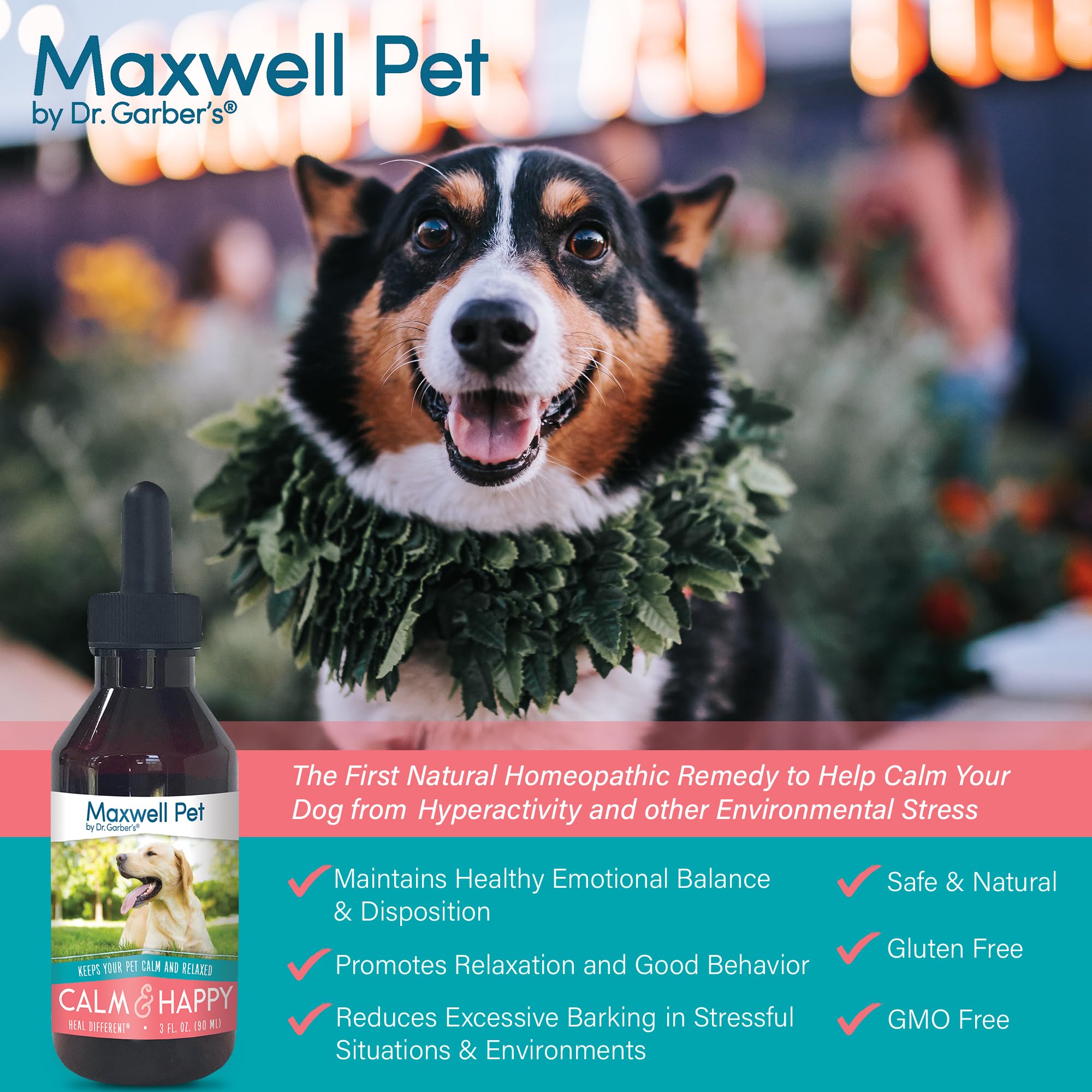 DR.GARBER'S Maxwell Pet dosage-guide-illustration demonstrates simple twice-daily use.