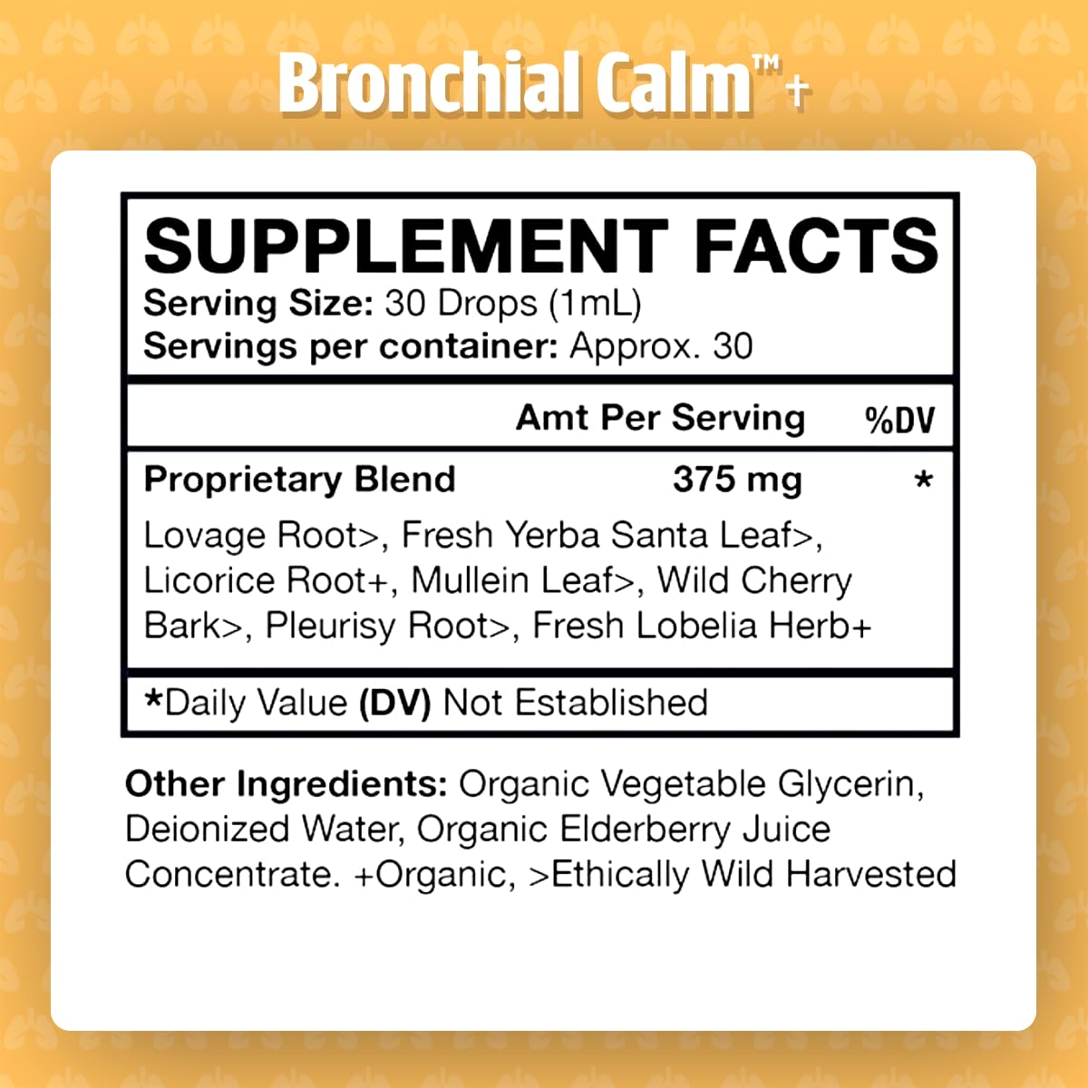 Dr. Green Mom Elderberry Juice concentrate adds natural flavor and respiratory support notes