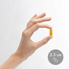 Capsules close-up illustrating easy daily dosing and convenient supplementation
