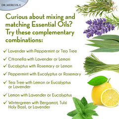 Dr. Mercola diffuser heritage and craftsmanship since 1997.