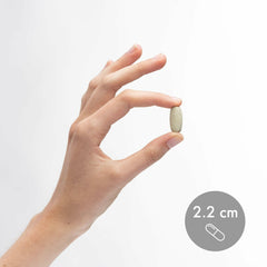 Dr. Mercola kids chewable reference illustrates family-friendly vitamin options in the line.