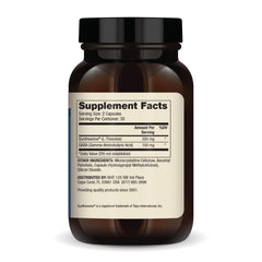 Capsules of Dr. Mercola L-Theanine Plus GABA ready for use