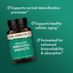 Dr. Mercola Organic Fermented Broccoli Sprouts fermentation process closeup shows natural color.