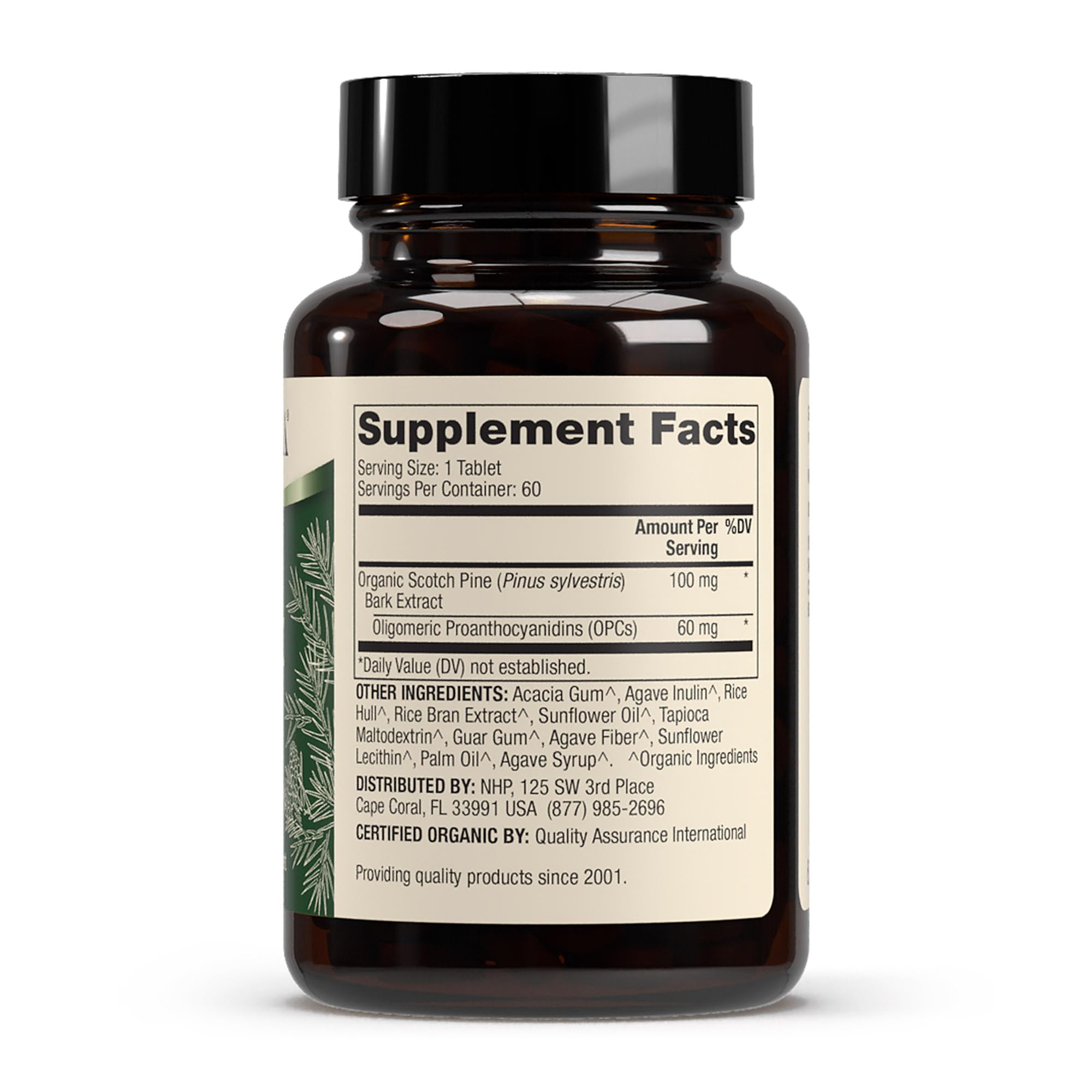 Dr. Mercola Organic Pine Bark Extract tablets close-up highlighting OPCs