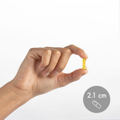 Eco-friendly packaging highlighting freshness protection and responsible sourcing.