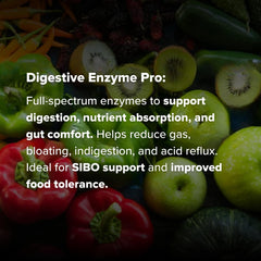 Dr. Rajsree Digestive Enzyme Pro capsules in hand show portable use.