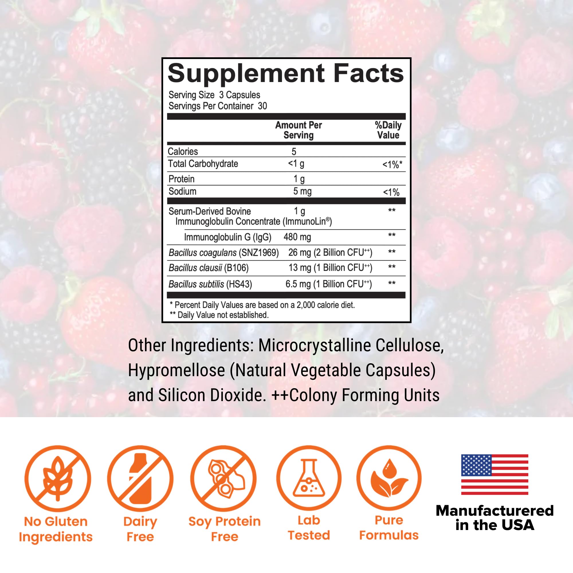 Dr. Rajsree Spore Probiotic IgG capsules for gentle gut comfort.