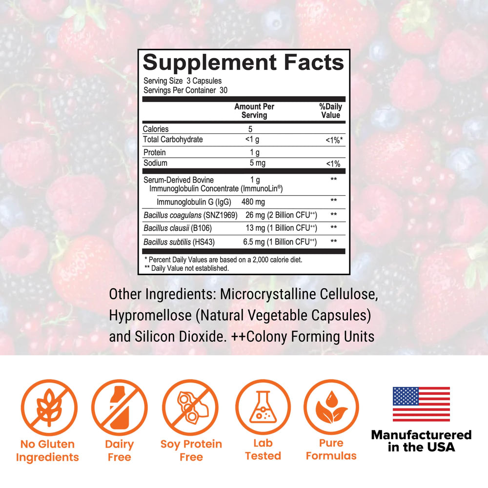 Dr. Rajsree Spore Probiotic IgG capsules for gentle gut comfort.
