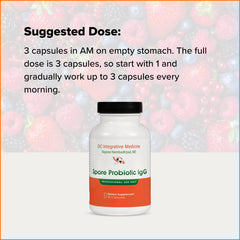 Daily routine with Dr. Rajsree IgG promotes digestive comfort.