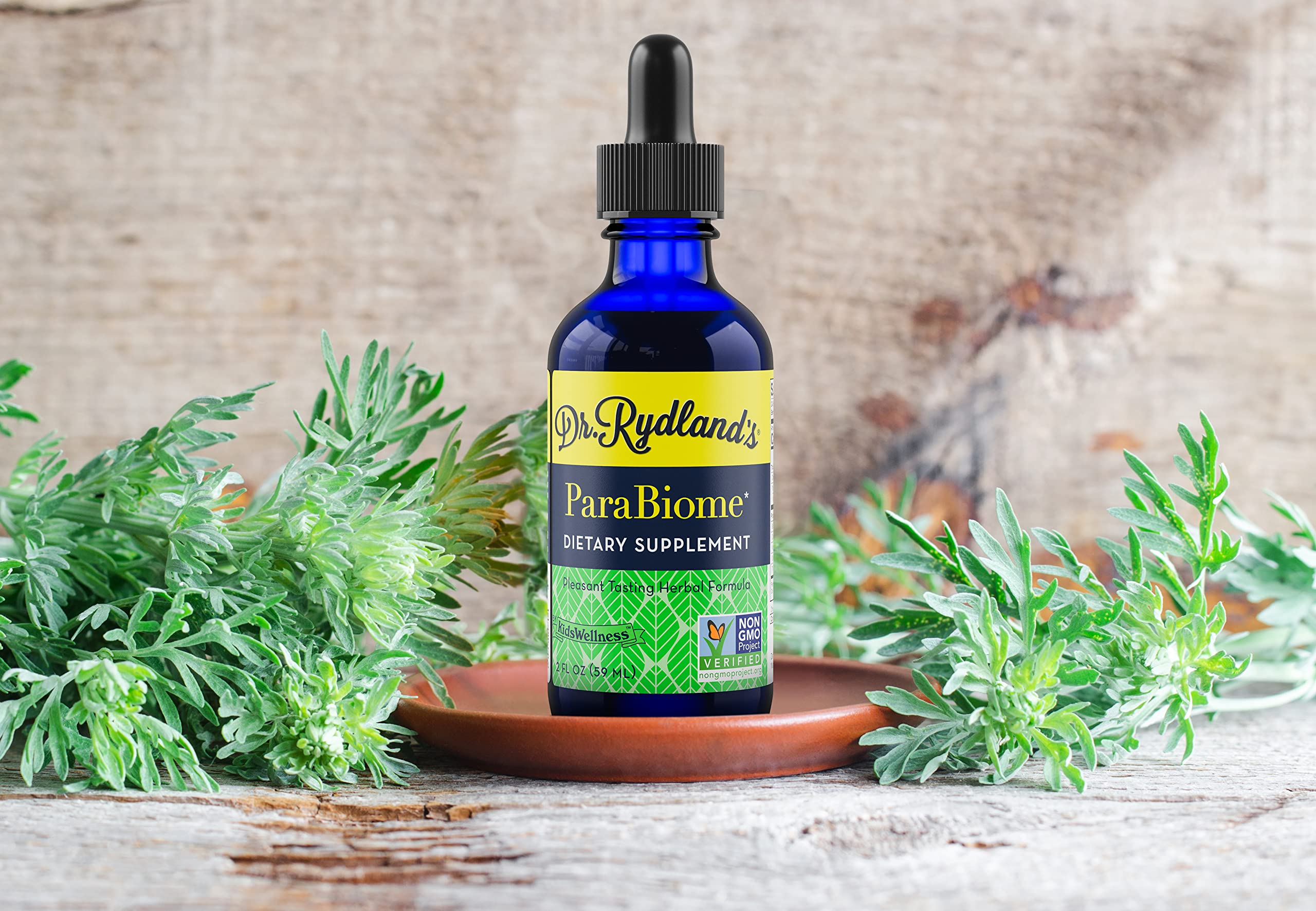 Dr. Rydland's ParaBiome wormwood herb closeup for gut harmony.