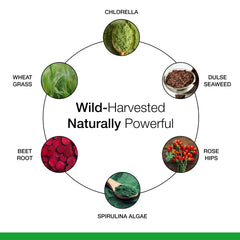 Dr. Schulze's SuperFood Plus glass jar on a counter emphasizes clean vegan nutrition.