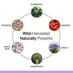 Ingredients chart showing over 20 organic herbs