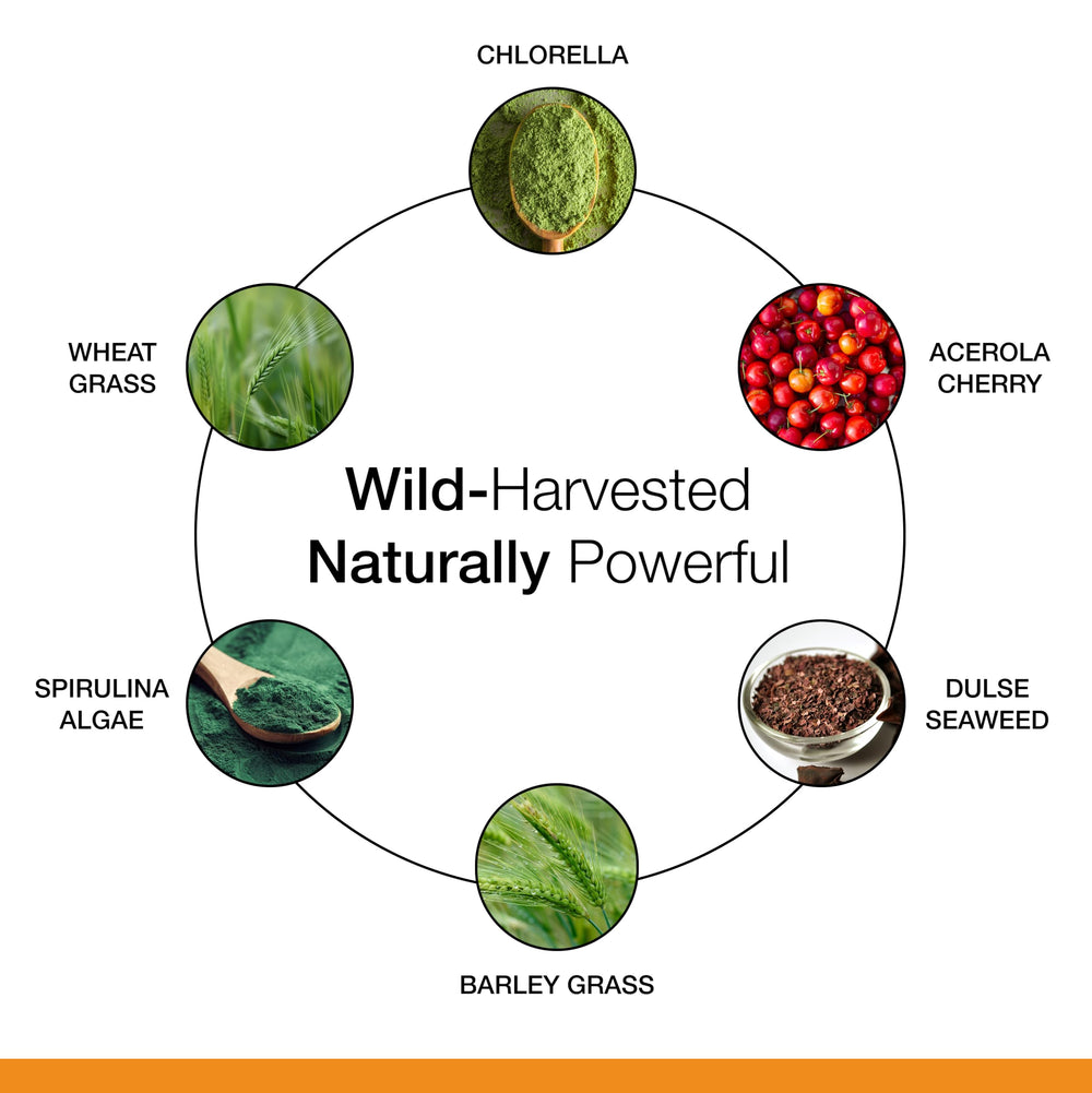 Dr. Schulze's SuperFood 100 daily-dose packaging signaling simple routine integration.