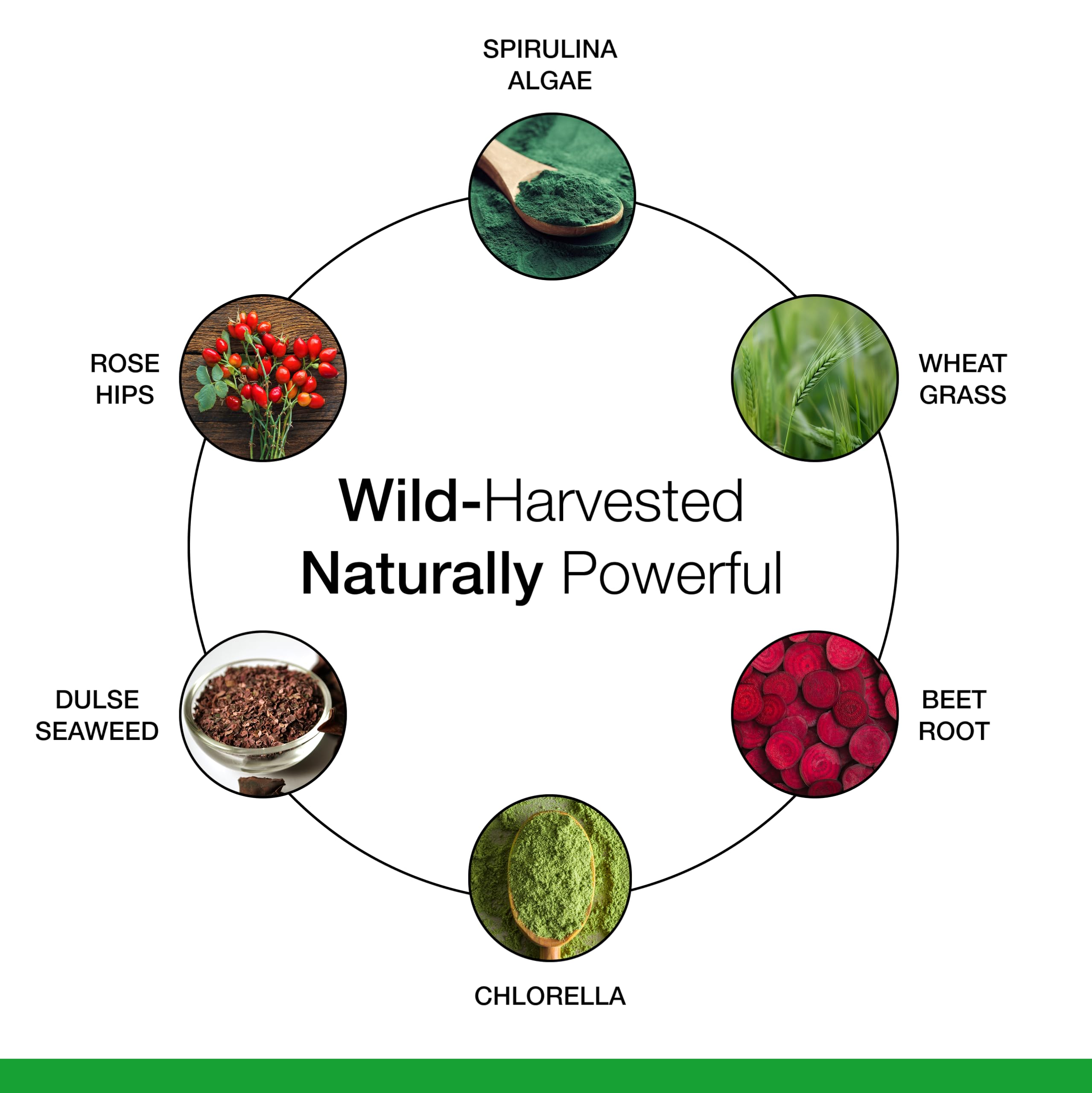 Dr. Schulze's SuperFood Plus vegan icons indicate dairy-free and non-GMO quality.