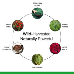 Dr. Schulze's SuperFood Plus vegan icons indicate dairy-free and non-GMO quality.