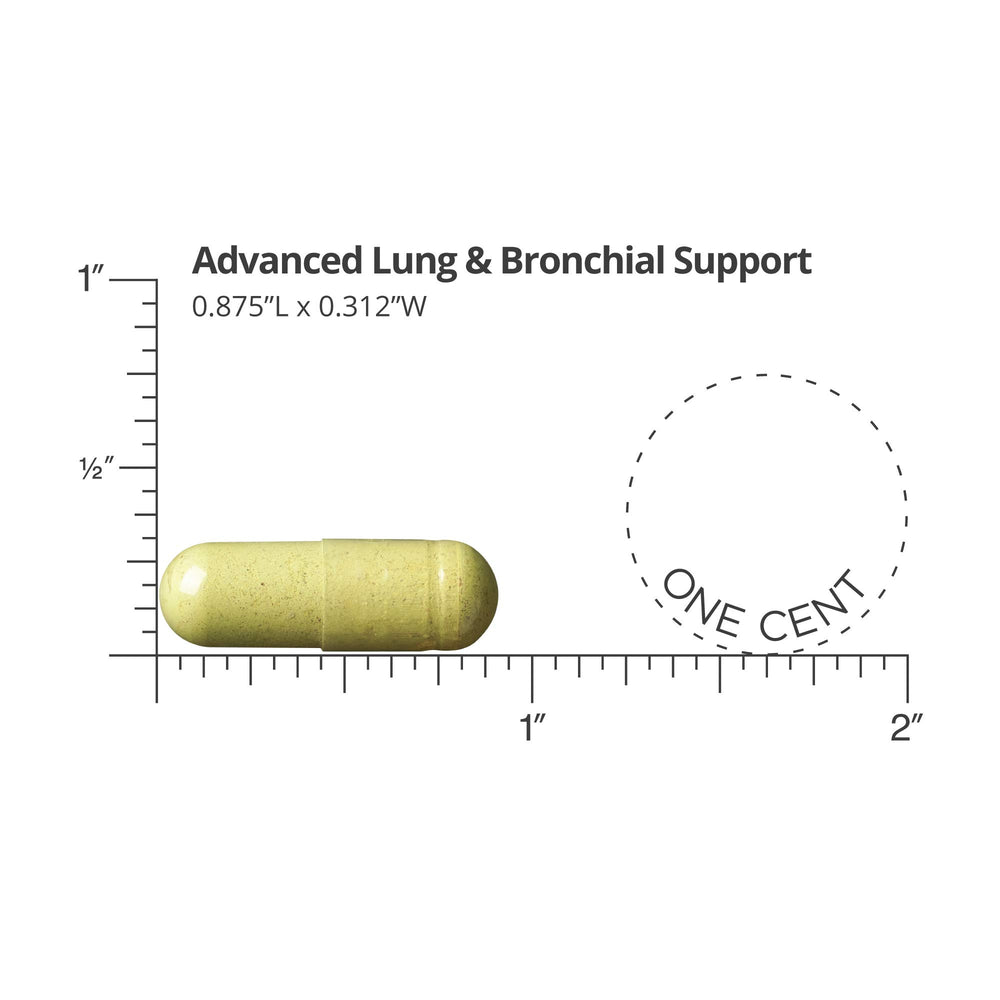 Dr. Sinatra Advanced Lung ingredients poster showing AlvioLife, NAC and herbs for lung health.