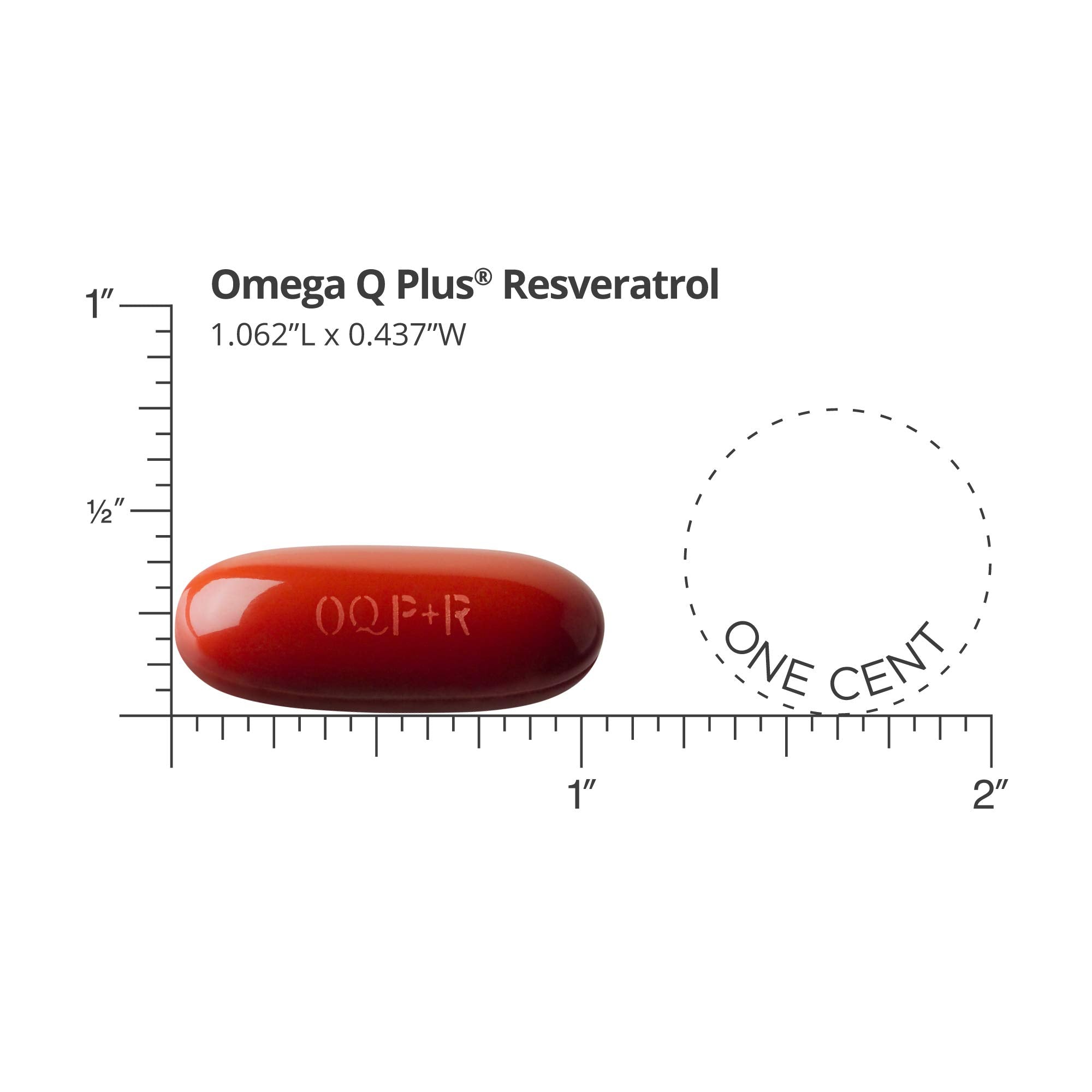 Dr. Sinatra Omega Q Plus Resveratrol softgels ready for daily use and energy support.