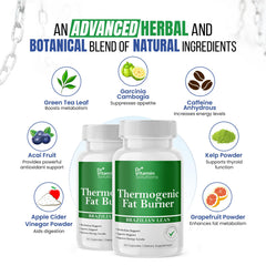 DR VITAMIN SOLUTIONS non-GMO ingredients capsule showcasing antioxidant-rich inputs.