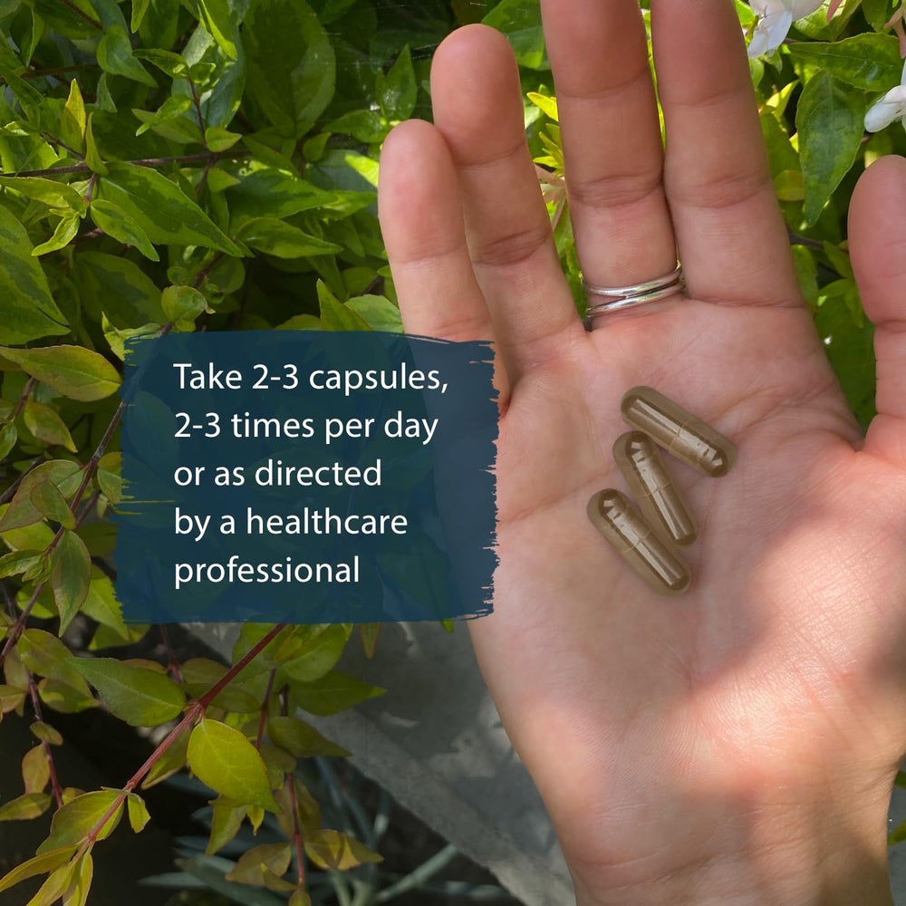 Dragon Herbs He Shou Wu capsules on wood surface for everyday vitality