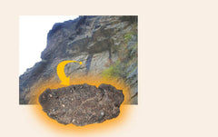 Dragon Herbs High Mountain Shilajit purity test result reinforces quality.