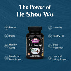 Dragon Herbs prepared He Shou Wu bottle highlighting traditional preparation for immune support