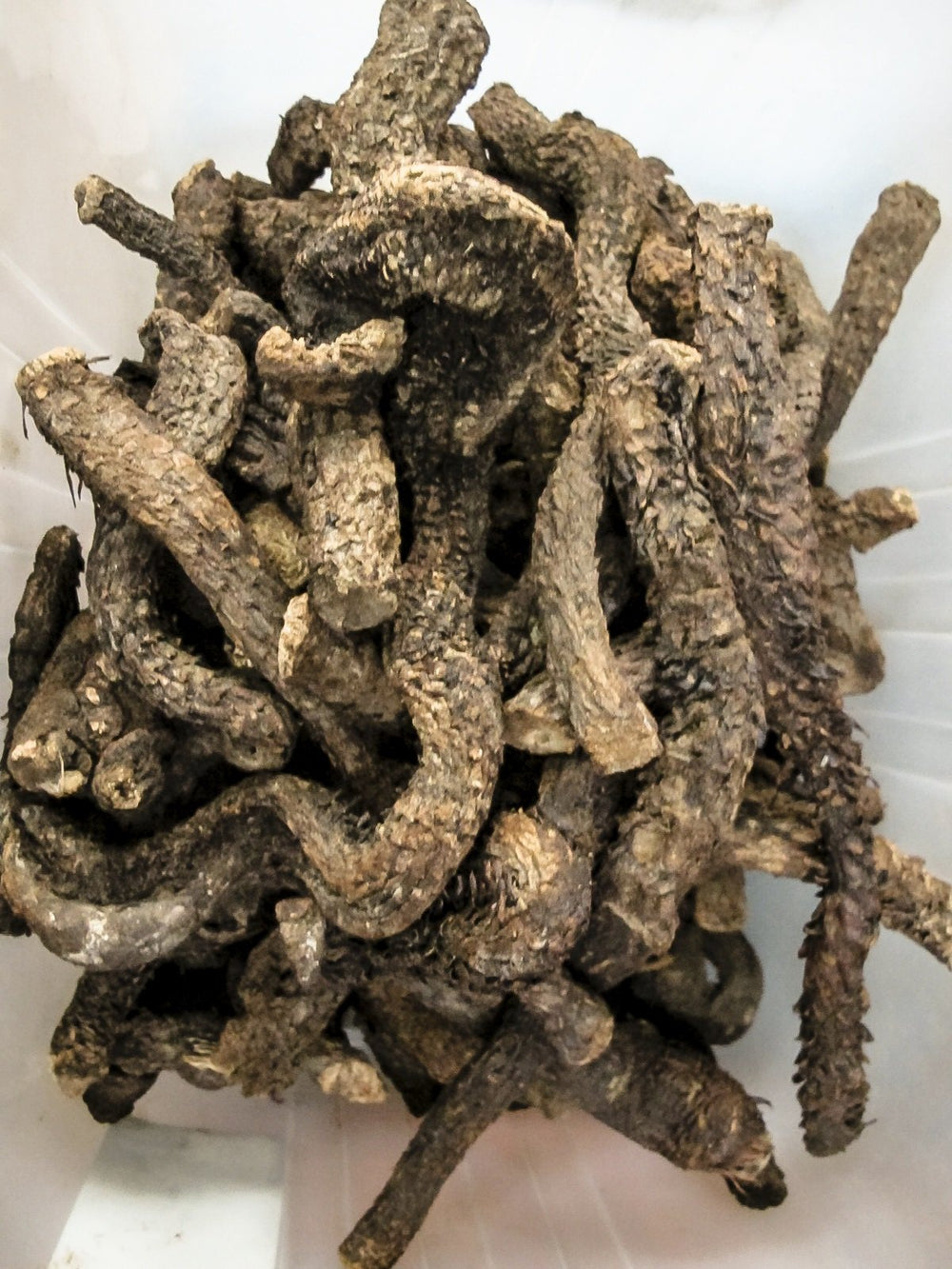 Dragon Herbs Return to Youth ingredients list closeup for informed use