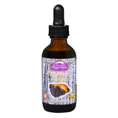 Dragon Herbs Wild Siberian Chaga Drops bottle front highlighting adaptogenic formula for daily energy.