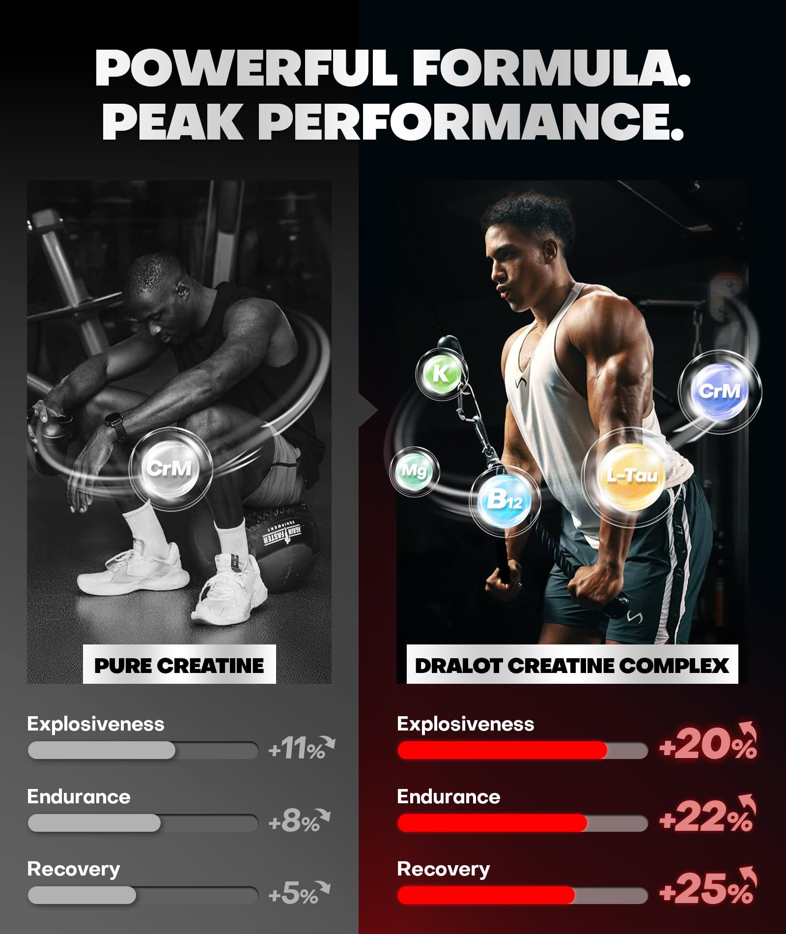 Dralot Creatine Monohydrate Gummies ingredients list with L-taurine and B12