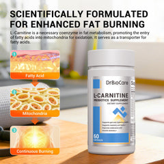 DrBioCare image highlighting yerba mate extract for natural energy.
