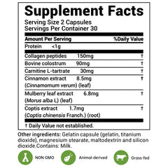 Mulberry leaf extract aimed at supporting healthy metabolism
