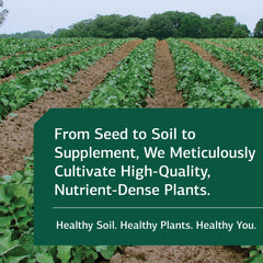 Drenamin gluten-free non-dairy non-soy box for daily use.